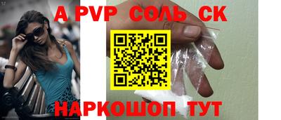 гашик Кингисепп