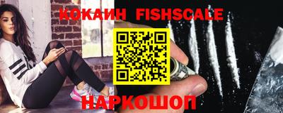гашик Кингисепп