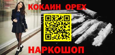 гашик Кингисепп