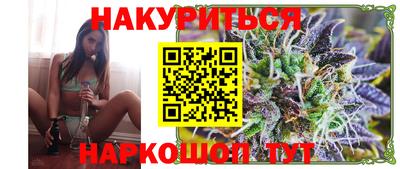гашик Кингисепп