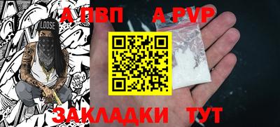 гашик Кингисепп