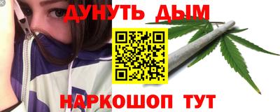 гашик Кингисепп