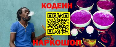 гашик Кингисепп