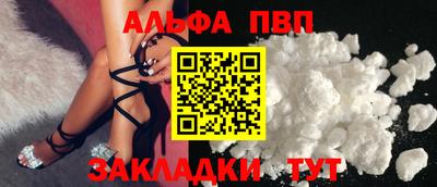 гашик Кингисепп