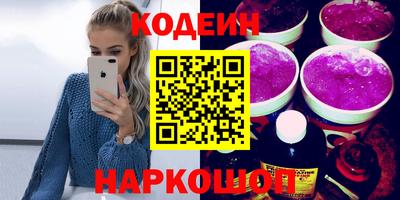 гашик Кингисепп