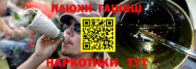 гашик Кингисепп