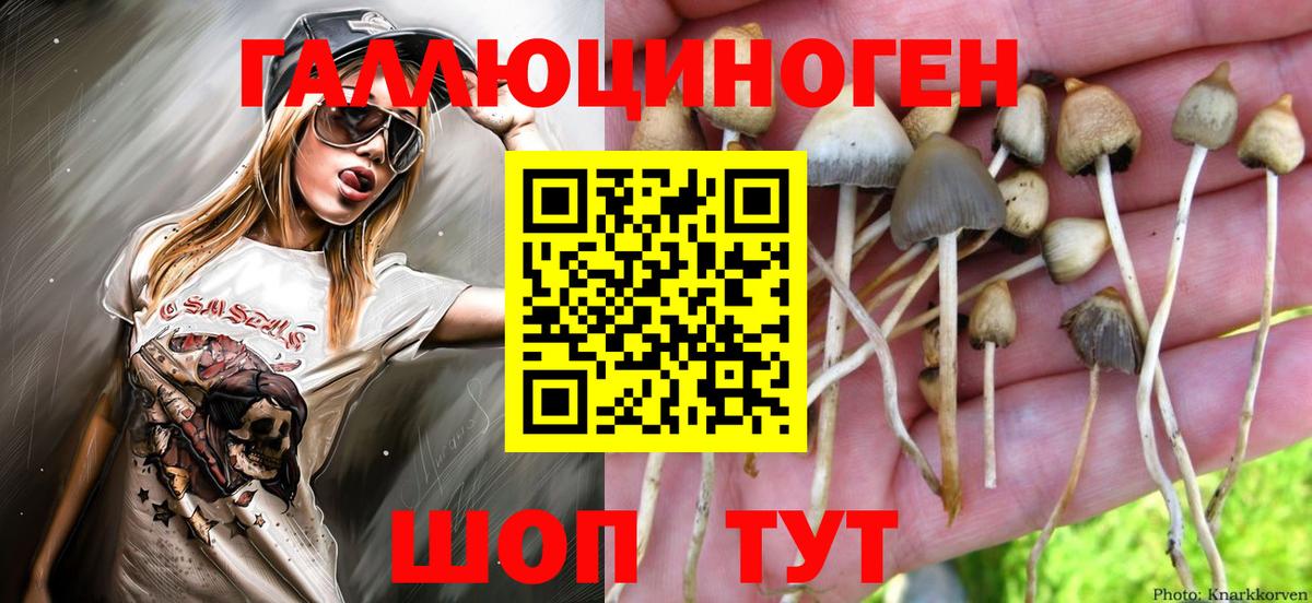 Псилоцибиновые грибы Cubensis Комсомольск-на-Амуре